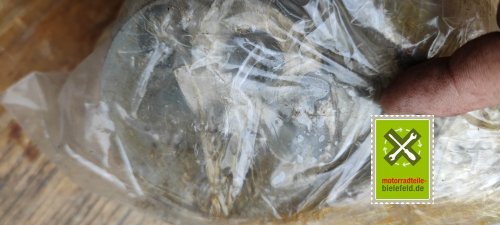 IMG_20230827_130645